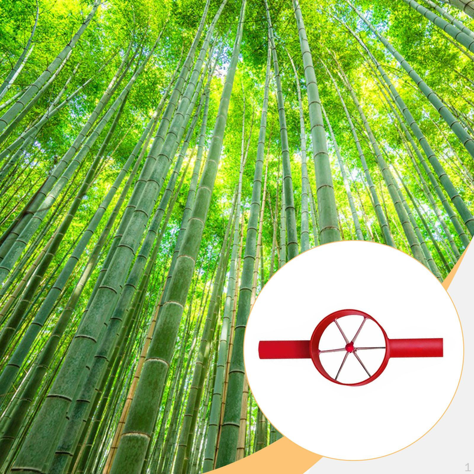 

Бамбуковый инструмент для разделения 13 дюймов длиной для резки, секционирования, универсальный, сверхпрочный, простой в использовании 6 Blade