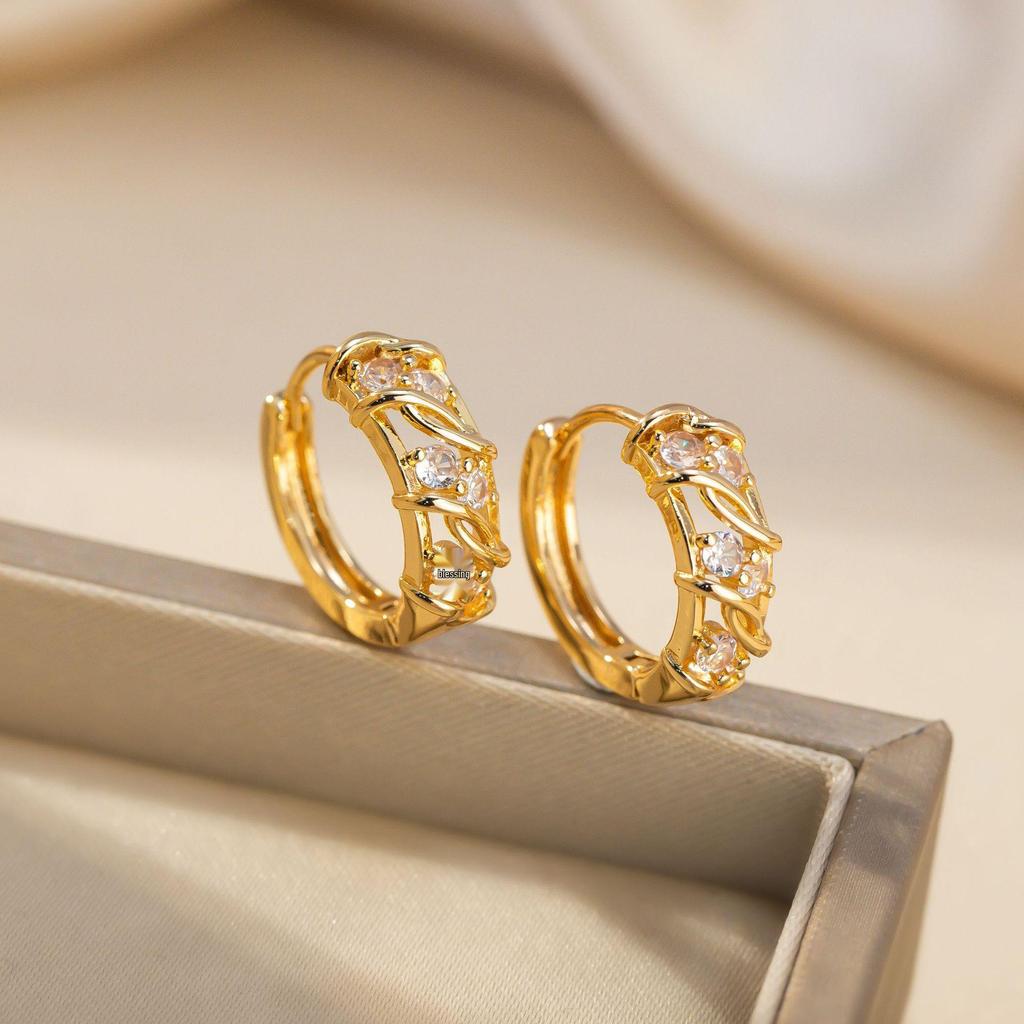 Exquisite Korean Style Double Row Zirconia Earrings for Women - Silver Needle Studs with a Fashionable Design