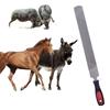 Large Hoof Rasp & Trimming Tool - Special Coarse Tooth for Hooves & Antlers