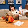 Cartoon Simulation Goldfish Doll Plush Toy Small Fish Doll Home Pillow Cushion Girl Soothing Doll