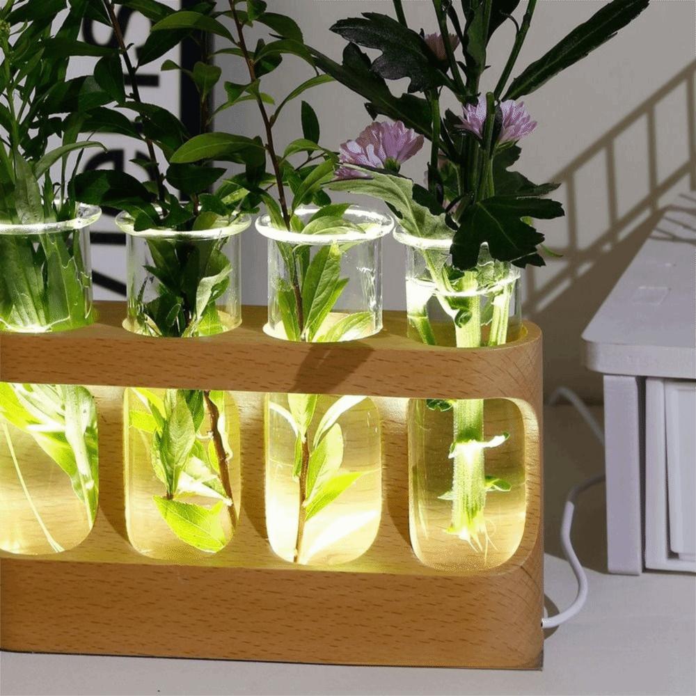 With Wood Stand Plant Propagation Station Adjustable 3 Color Light Transparent Propagation Tube Flower Arrangement