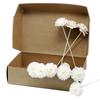 Reed Diffuser Flowers Carnation Sola Wood, 12 Pieces
