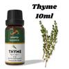 Huile Essentielle de Thym Ananta 10 ml | Huile Aromatique Herbacée | Utilisation Diffuseur & Parfum d'Ambiance