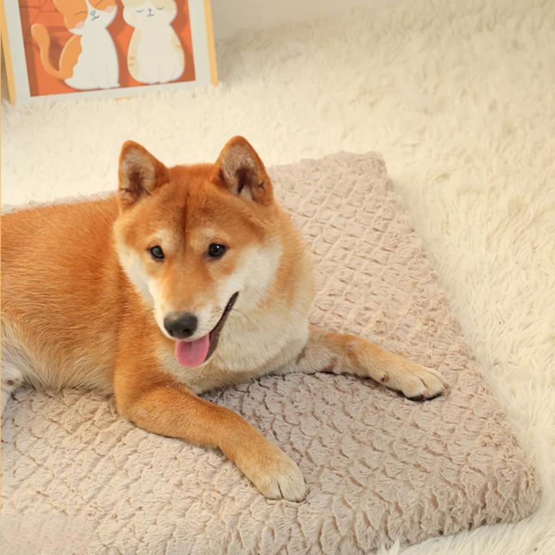 Foam Pet Bed With Removable Washable Faux Fur Cover Orthopedic Waterproof Dog Bed For Crate Anti-Slip Bottom Dog Bed