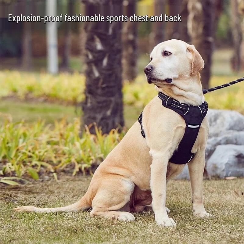 Petman Dog Anti-Pull Reflective Harness Vest with Leash Set L