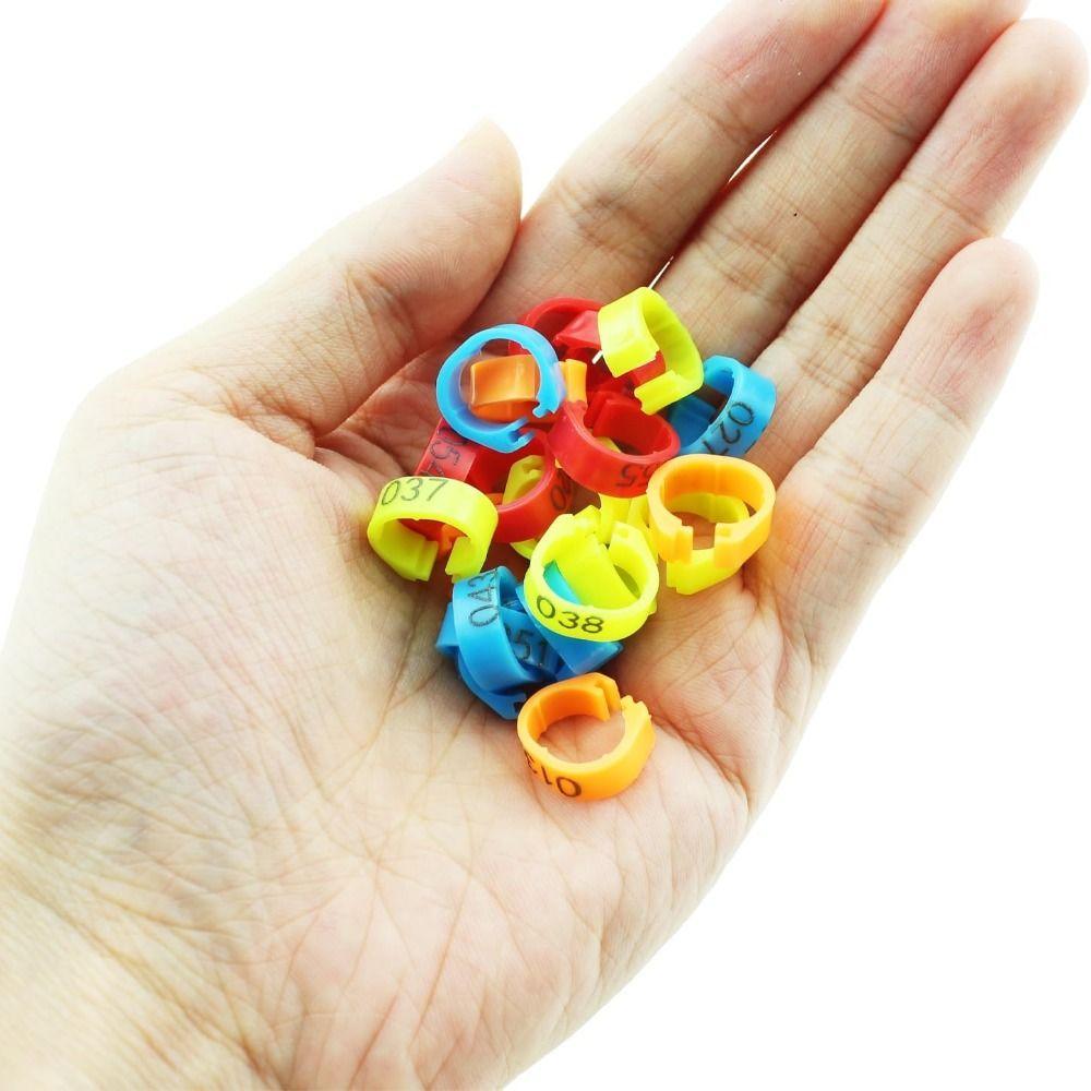 100 Stück Kunststoff Geflügel Beinmarken Gemischte Farbe Vogelbein Kennringe Geflügelzubehör