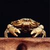 Handcrafted Brasses Crabs Figurine With Openable Shell Miniature Trinket Box For Desktop Display And Tea Table Decors