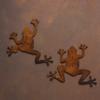 2 Pezzi Rettile Lucertola Rana in Metallo da Parete, Decorazione Murale Rustica in Ferro per Giardino Esterno, Patio e Cortile, Scultura Animale Appesa con Finitura Invecchiata per Giardino