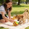 Dog Chew Ball Toy - Interactive Pet Toy For Teeth Cleaning, Anxiety Relief & IQ Training - Floating TPR Rubber Ball For Small, Medium & Large Dogs