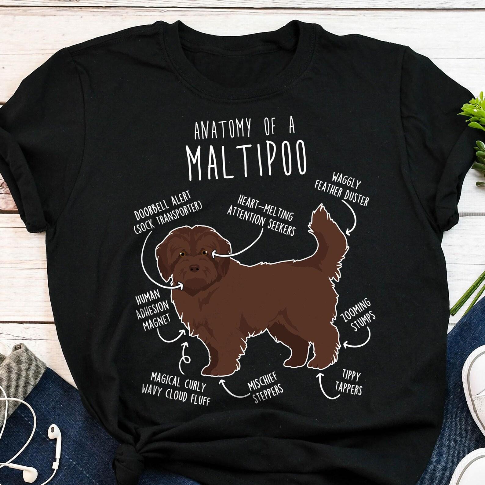 Chocolate Maltipoo Shirt, , , Funny Maltipoo Dog Lover Gift, Cute Brown Maltipoo T-shirt, Doodle Poodle Mix Tshirt Pet Tee Mom Dad 140
