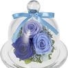 Preserved Flower Cafe Preserved Flower Cecil (Blue)