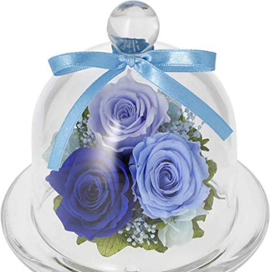 

Кафе «Сохранённые цветы» Сохранённые цветы Сесил (синий) синий