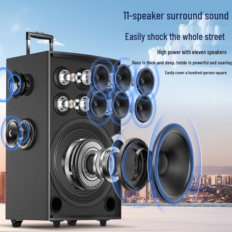 Suoai 11-Speaker 12-inch K-Song Portable Bluetooth Speaker