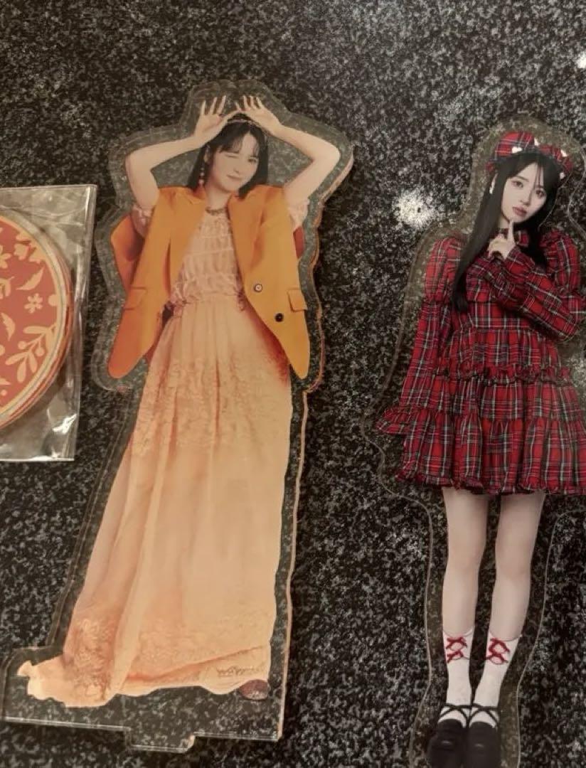 

[Б/У] Акриловая подставка Chinzei Suzuka