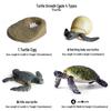 Cross-Border Children's Cognitive Amphibian & Reptile Tortoise Model Fish Tank Ornament Toy