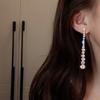 S925 Sterling Silver Elegant Long Tassel Earrings with Sparkling Zircon