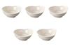 Set of 5 Ginpou Katsuryu Drinking Cups [14 X 12.7 X 5.8 Cm] | Banko Ware Earthenware Pot, Banko Ware, Setomonohonpo