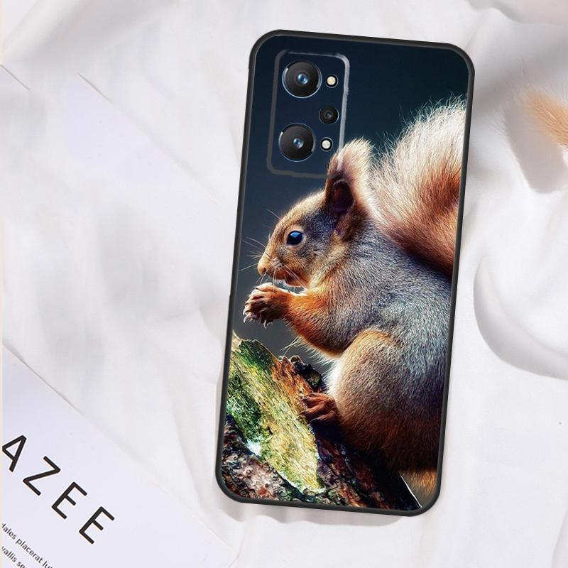 Squirrel Case For Realme 15 14 13 11 12 Pro Plus GT6 GT7 Pro C55 C51 C53 C35 C33 C31 C61 C67 C71 C75