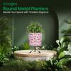 Pots for Plants, Plant Pots for Home Decoration, Succulent Pot, Indoor Planter Garden Decor Style: Rosewood Radiance