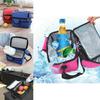 High-quality Waterproof Insulated Lunch Bag For Adults And Kids 8l Capacity With Multiple Colors