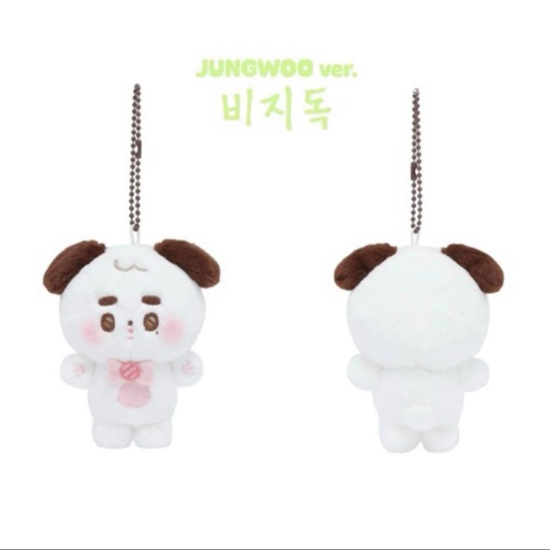 [USED] NCT127 SOM MOONG CHILL KEYRING Jungwoo
