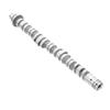 Eccentric shaft-14110-R40-A00