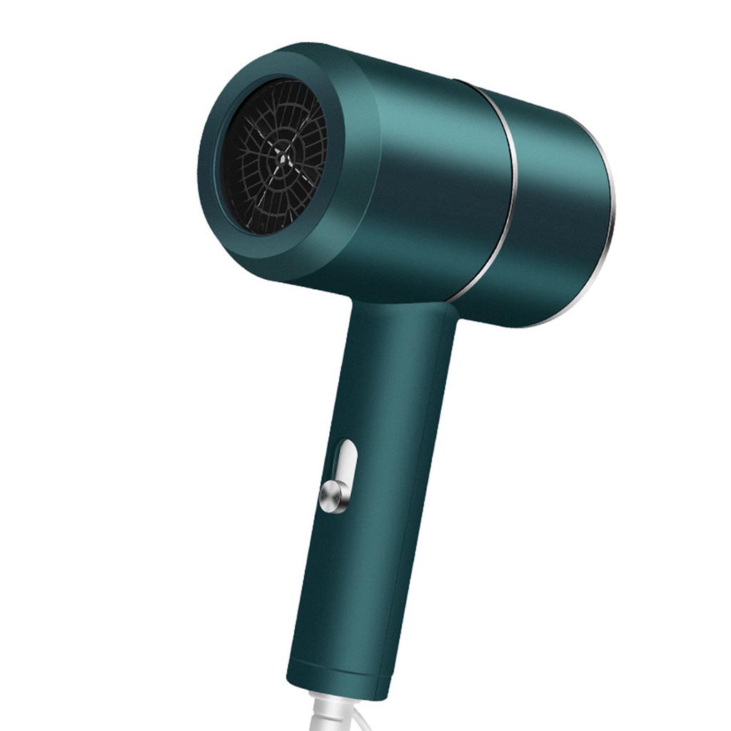 1600W Professional Salon Hair Dryer 2 In 1 Hot Air Brush Hair Dryers Negative Ionic Hair Blow Dryer Strong Wind Hot Dryer