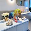 Office Use Decoration Animal Sculptures House Lion Decorations Everything Goes Smoothly Wealthy Nice Compact Lion New