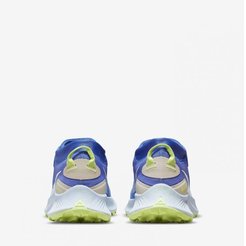 Nike Running ShoeS Trekking ShoeS Women S pegaSuS Trail 3 Gore Tex Dc8794 400 P2207 Waterproof Waterproof