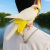 Bite Resistant Anti-flying Training Leash Lightweight Bird Foot Chain Pet Bird Harness  Walking