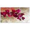 Three Piece Picture Canvas Print Orchid Flowers Pink