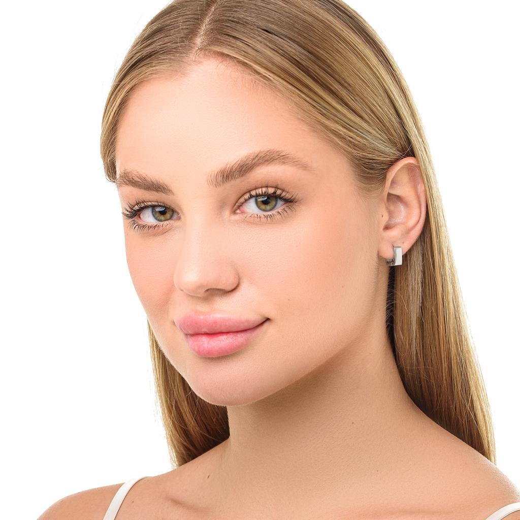 Earrings Steel