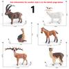 Animal Figurine Realistic Alpaca Goat Deer Ostrich Horse Forest Woodland Creatures Figure Kids Educational Wild Animal Toy