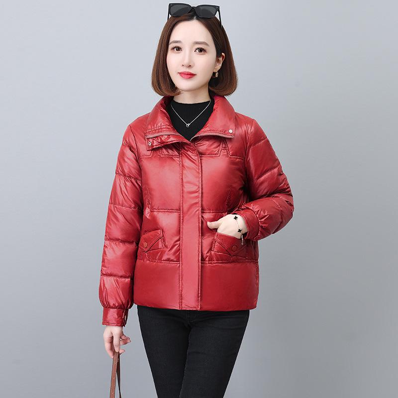 Women's 2024 Winter Korean Style Stand-Up Collar Plus Size Warm Down Jacket for Middle-Aged and Elderly