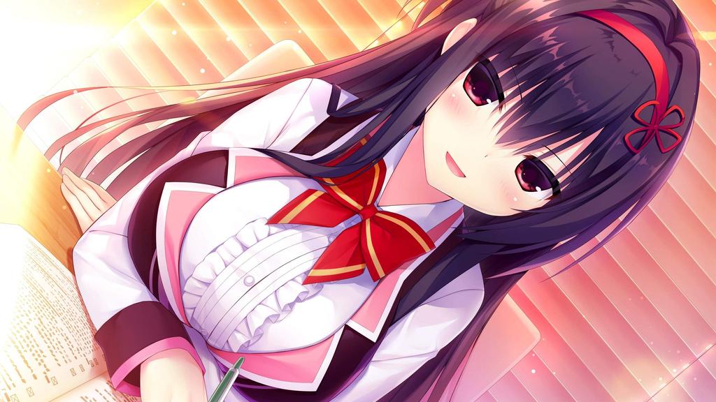Hamidashi Creative Standard Edition Switch -