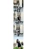 2025 Spring Arrival: Curvy Fit Polo Collar Dress with Bell Sleeves & Color Block Design – Elegant Short Skirt
