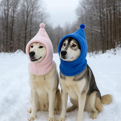 Roupa e sapatos – Chapéus para cães