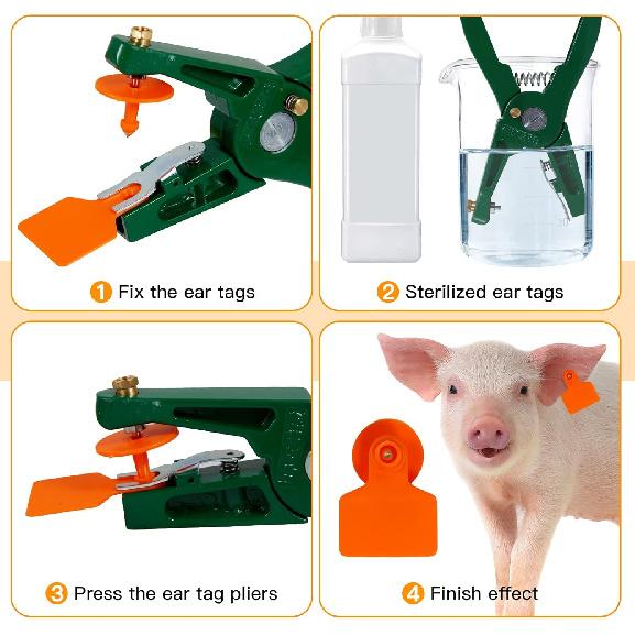 Blank Cattle Ear Tags - 100PCS Plastic Livestock Ear Tags Farm Animal Tags ID Tags Red Yellow Green Blue Orange Ear Tagger Cattle Ear Tags for Cow