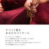 Tibetan High Oracle Cards The Blessing Cards Scarlet Naikan Fortune Telling Japanese Priest's [Amanamana Official]