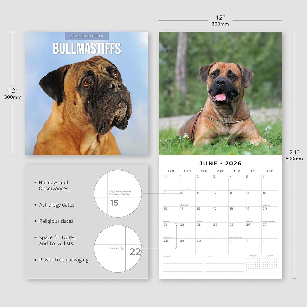 Red Robin 2026 Bullmastiffs Monthly Wall Calendar | 12" x 24" Open | Premium Thick & Sturdy Paper | Hangable 12 Month Calendar | Lined Notes & To Do