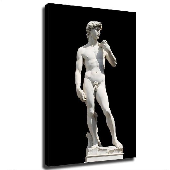 ARroio Statue of David By Michelangelo Buonarroti Poster Canvas Picture Printing Wall Art Modern Aesthetic Decoration Suitable for Office Home 18L x 12W