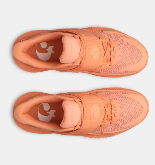 Under Armour Ρε. Αλεπού [6006301-811]
