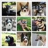 New Adjustable Dog Goggles Cute Sunglasses Anti-UV Sun Glasses Eye Wear Protection Black Dogs Windbreak Eyeglasses Pet Supplies