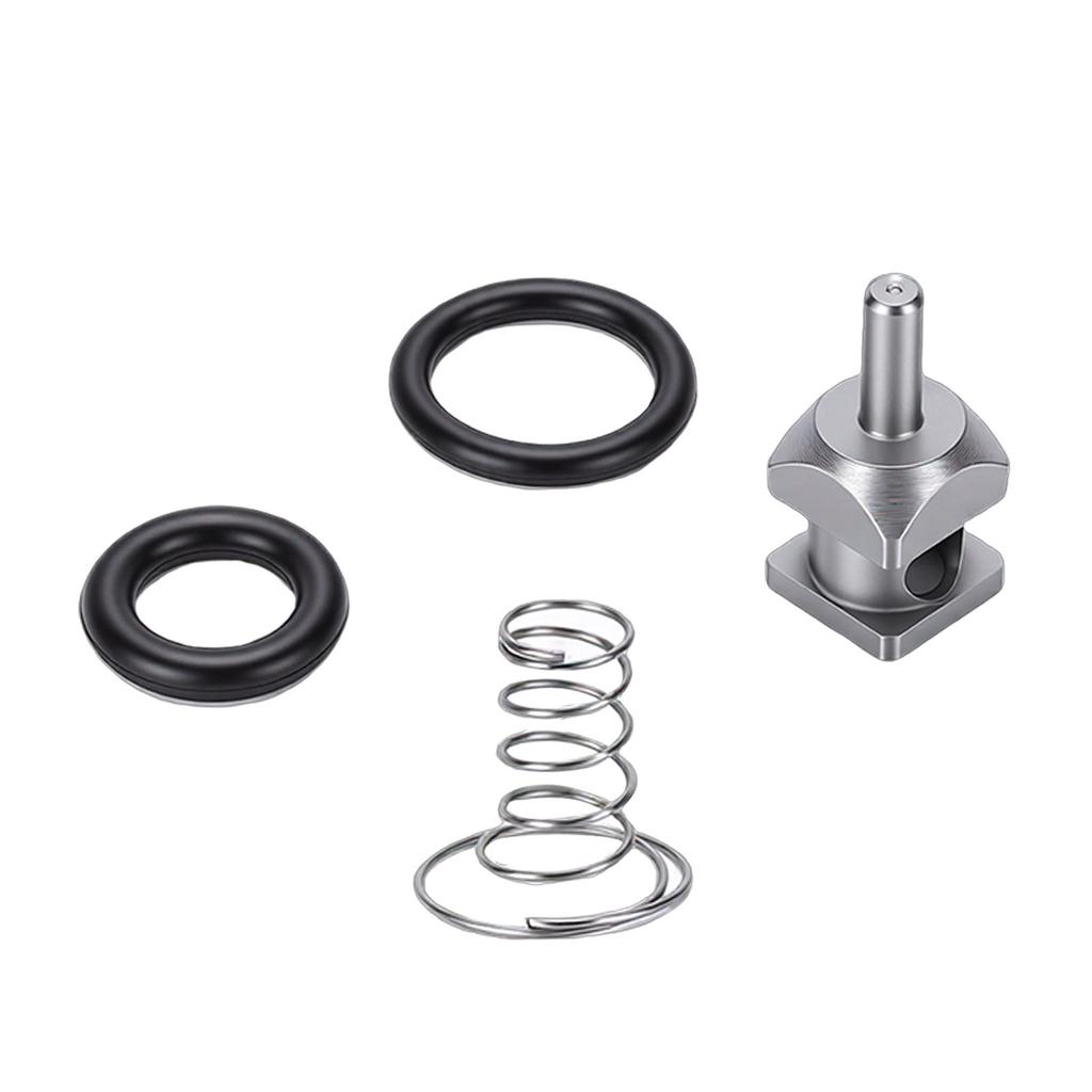 Fuel Check Valve Rebuild Kit Replacement for Flhrsi Custom Helps Resolve Fuel Line Leakage Check Valve O Rings Stainless Steel Spring
