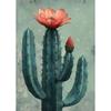 Vintage Mexican Cactus Poster Floral Moon Aesthetic Canvas Painting Prints Colourful  Wall Art Picture Room Home Decor