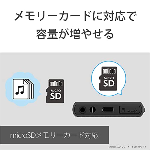 Sony Walkman NW-A307 64GB A300 Series MP3 Player Touch Panel Wireless Hi-Res Audio Bluetooth Android Streaming LDAC aptX HD MicroSD Support Black