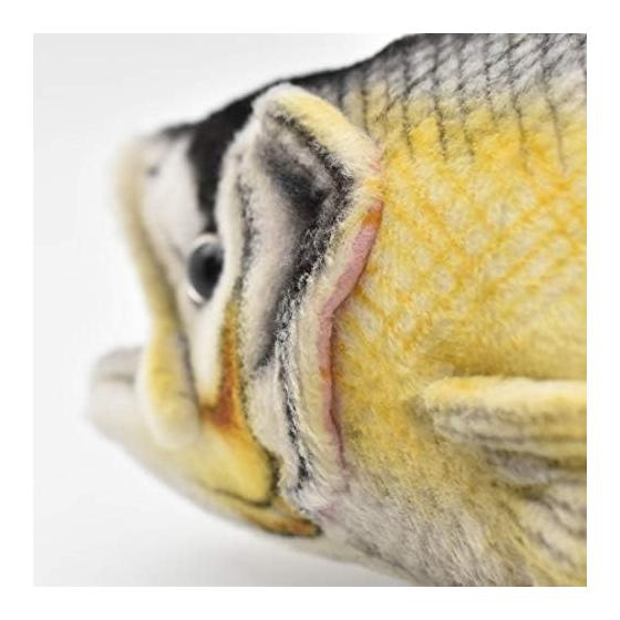 Seabass No6052