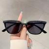 Stylish Cat Eye Shades Fashion Black Oversize Sunglasses Outdoor Decoration Women's Sun Glasses for Driving Travelling