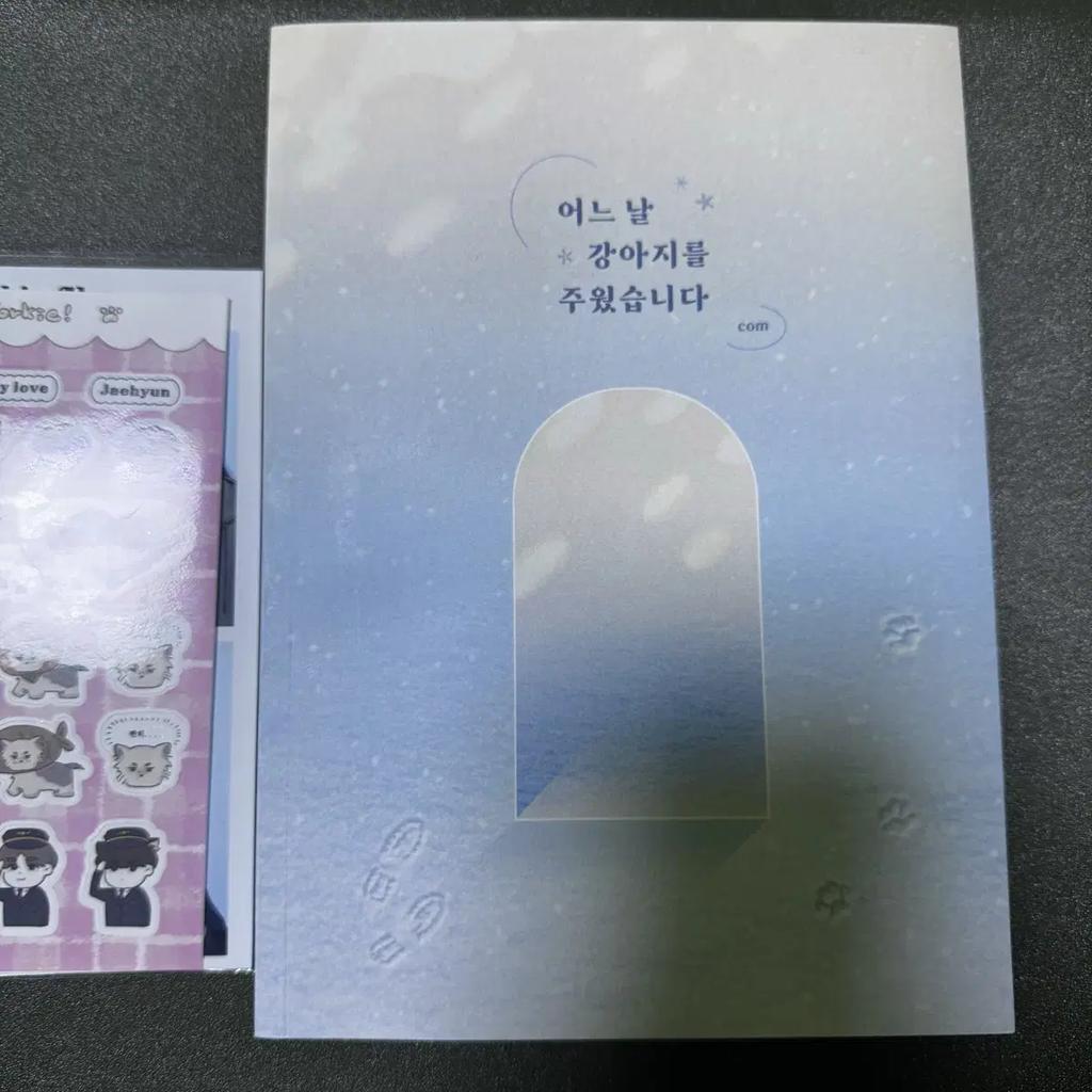 Theboyz Milseon Picked Up A Puppy One Day Com