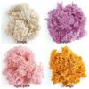 Home Ornaments Living Room Fake Flowers Eternal Moss Moss Artificial Plants Garden Decoration